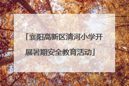 襄阳高新区清河小学开展暑期安全教育活动