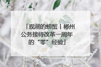 观潮的螃蟹丨郴州公务接待改革一周年的“零”经验