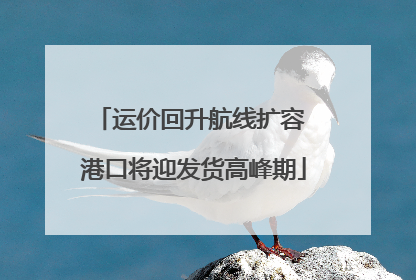 运价回升航线扩容 港口将迎发货高峰期
