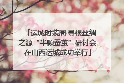 运城时装周·寻根丝绸之源“半颗蚕茧”研讨会在山西运城成功举行