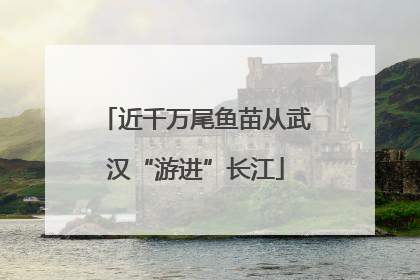 近千万尾鱼苗从武汉“游进”长江