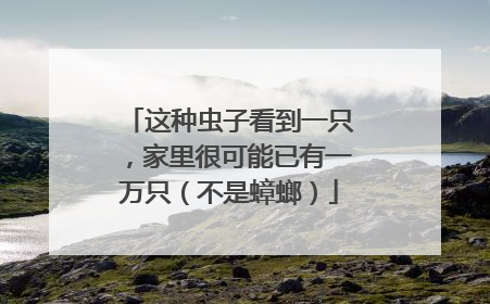 这种虫子看到一只，家里很可能已有一万只（不是蟑螂）