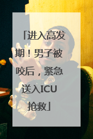 进入高发期！男子被咬后，紧急送入ICU抢救