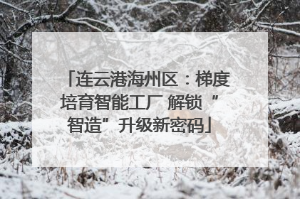 连云港海州区：梯度培育智能工厂 解锁“智造”升级新密码