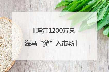 连江1200万只海马“游”入市场
