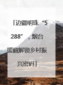 边疆明珠“5288”，烟台援藏解锁乡村振兴密码