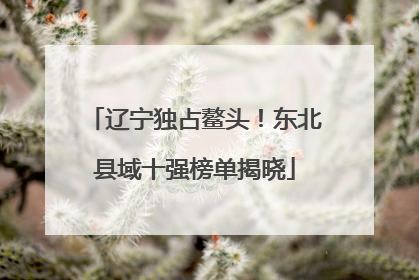 辽宁独占鳌头！东北县域十强榜单揭晓