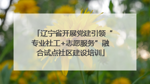 辽宁省开展党建引领“专业社工+志愿服务”融合试点社区建设培训