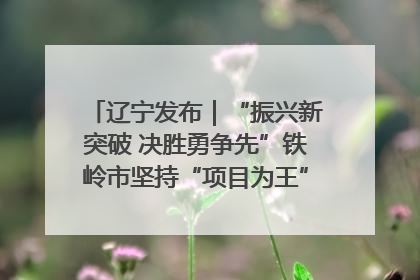 辽宁发布｜“振兴新突破 决胜勇争先”铁岭市坚持“项目为王”推进经济高质量发展