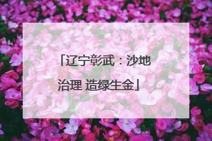 辽宁彰武：沙地治理 造绿生金