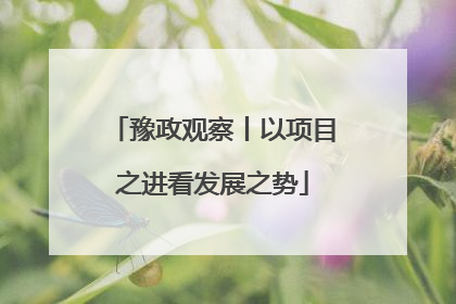 豫政观察丨以项目之进看发展之势