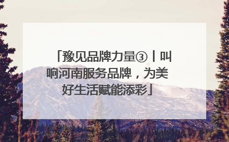 豫见品牌力量③丨叫响河南服务品牌，为美好生活赋能添彩