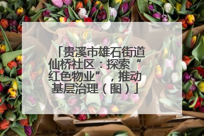 贵溪市雄石街道仙桥社区：探索“红色物业”，推动基层治理（图）