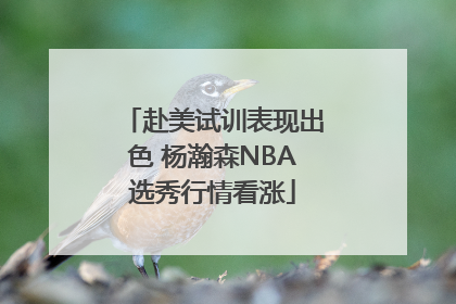 赴美试训表现出色 杨瀚森NBA选秀行情看涨