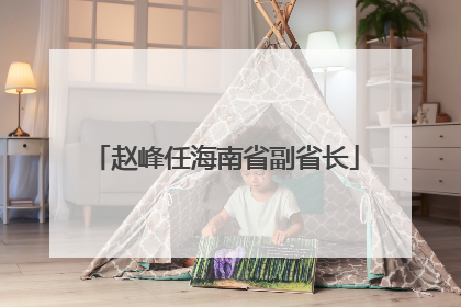 赵峰任海南省副省长