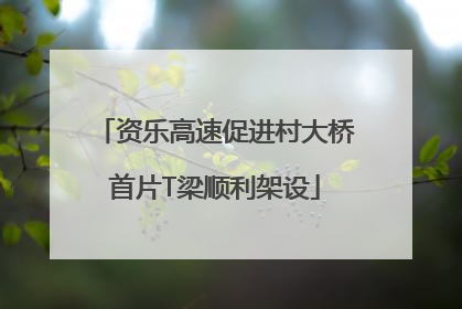 资乐高速促进村大桥首片T梁顺利架设