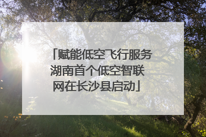 赋能低空飞行服务 湖南首个低空智联网在长沙县启动