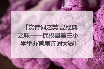 赏诗词之美 品经典之味——民权县第三小学举办首届诗词大赛