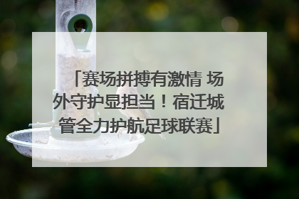 赛场拼搏有激情 场外守护显担当！宿迁城管全力护航足球联赛