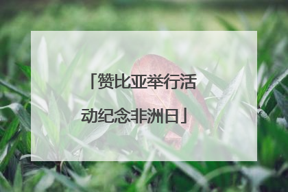 赞比亚举行活动纪念非洲日