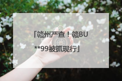 赣州严查！赣BU**99被抓现行
