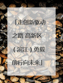 走创新驱动之路 高新区（滨江）勇毅前行向未来