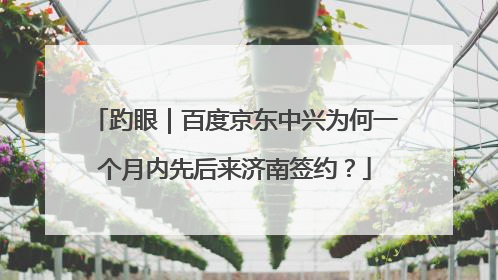 趵眼｜百度京东中兴为何一个月内先后来济南签约？