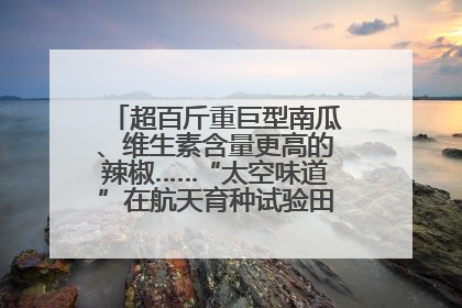 超百斤重巨型南瓜、维生素含量更高的辣椒……“太空味道”在航天育种试验田里拔节生长