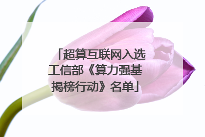 超算互联网入选工信部《算力强基揭榜行动》名单