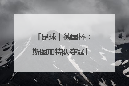 足球｜德国杯：斯图加特队夺冠