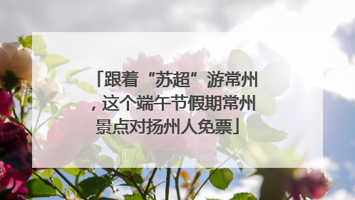 跟着“苏超”游常州，这个端午节假期常州景点对扬州人免票