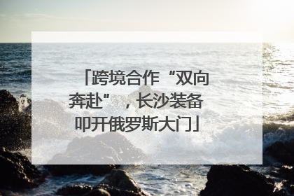 跨境合作“双向奔赴”，长沙装备叩开俄罗斯大门