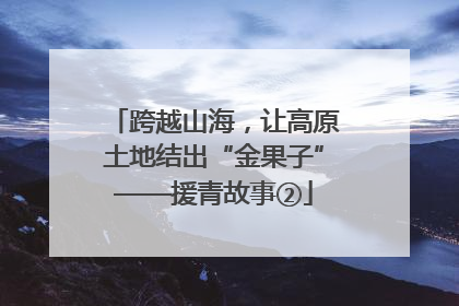 跨越山海，让高原土地结出“金果子”——援青故事②
