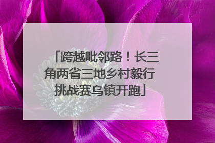 跨越毗邻路！长三角两省三地乡村毅行挑战赛乌镇开跑
