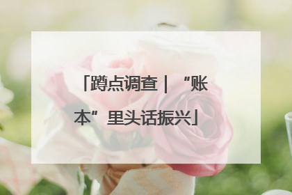 蹲点调查｜“账本”里头话振兴