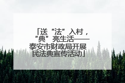 送“法”入村，“典”亮生活——泰安市财政局开展民法典宣传活动