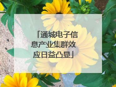 通城电子信息产业集群效应日益凸显