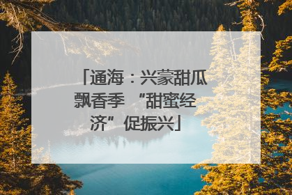 通海：兴蒙甜瓜飘香季 “甜蜜经济”促振兴