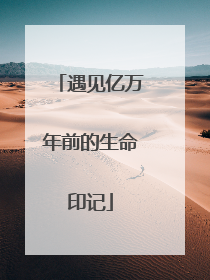遇见亿万年前的生命印记