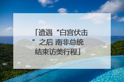 遭遇“白宫伏击”之后 南非总统结束访美行程