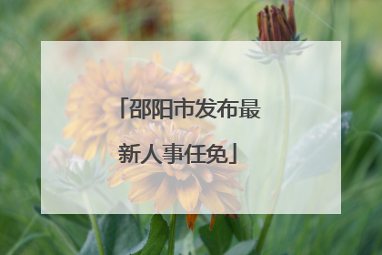 邵阳市发布最新人事任免