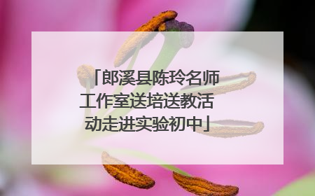 郎溪县陈玲名师工作室送培送教活动走进实验初中