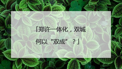 郑许一体化，双城何以“双成”？