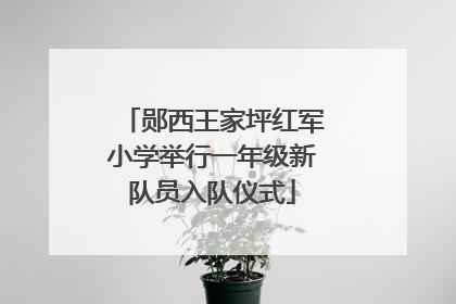 郧西王家坪红军小学举行一年级新队员入队仪式