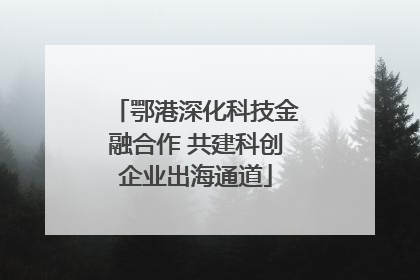 鄂港深化科技金融合作 共建科创企业出海通道