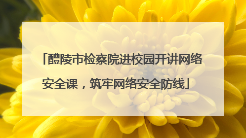 醴陵市检察院进校园开讲网络安全课，筑牢网络安全防线