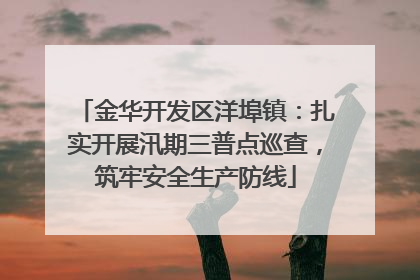 金华开发区洋埠镇：扎实开展汛期三普点巡查，筑牢安全生产防线