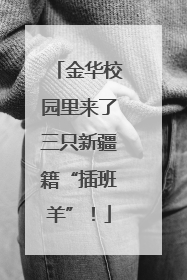 金华校园里来了三只新疆籍“插班羊”！