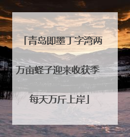 青岛即墨丁字湾两万亩蛏子迎来收获季 每天万斤上岸