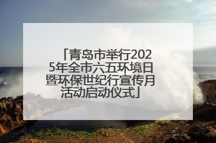 青岛市举行2025年全市六五环境日暨环保世纪行宣传月活动启动仪式